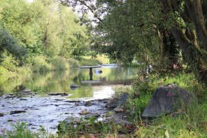 Kunst: Walflosse in der Ruhr