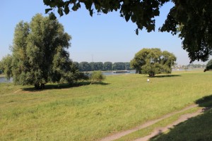 Rheinaue bei Düsseldorf