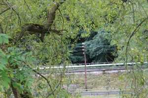 Telegrafendrähte an der Lahntalbahn