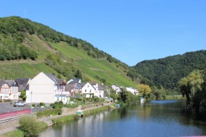 Obernhof mit Weinbergen