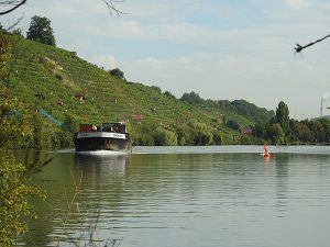 Neckartal: Weinberge, Neckar, Binnenschiffer