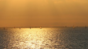 ORIGINAL Segler im goldenen Abendlicht