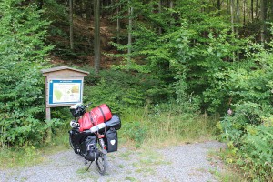 Bei Kärna: Buchenwald am Hang