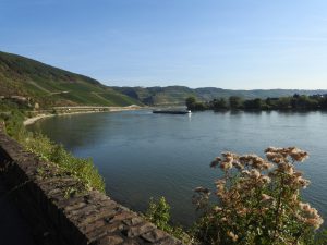 Rheinbogen hinter Boppard