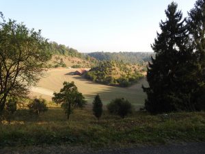 Bild vom Umlaufberg bei der Neckarburg