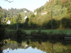 Bild der Neckarspiegelung bei Talhausen