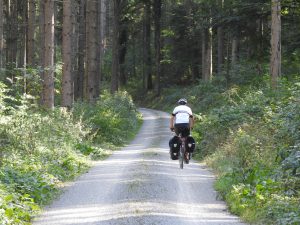 Bild vom gut zu befahrenden Waldweg