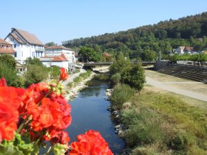 Bild vom Neckar in Horb