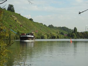 MS Oehringen vor Weinbergen bei Stuttgart