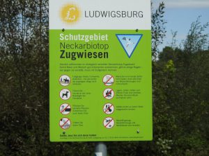 Neckarbiotop Zugwiesen bei Ludwigsburg