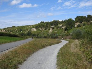 Weg im Neckarbiotop Zugwiesen bei Ludwigsburg