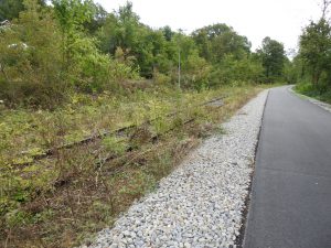 Radweg an der Murr bei ehemaliger Bahntrasse