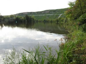 Neckarbogen Mundelsheim - Hessigheim