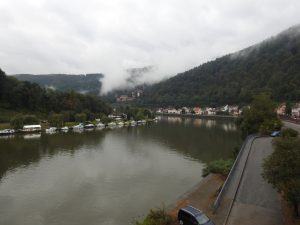 Neckar bei Zwingenberg