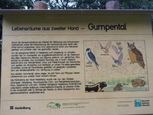 Infotafel Steinbruch Gumpental