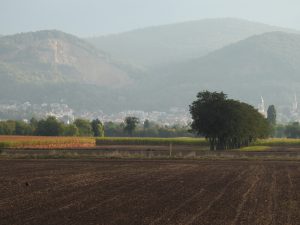 breites Neckartal westlich Dossenheim