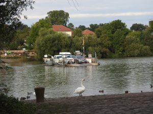 Fähre Neckarhausen