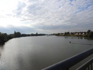 breiter Neckar bei Ladenburg