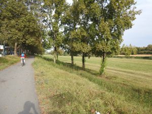 Radweg parallel zur S-Bahn und Neckar