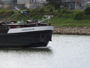 Theresa Majer vor dem Einbiegen in den Rhein