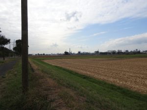 das gigantische Industriegebiet der BASF in Ludwigshafen