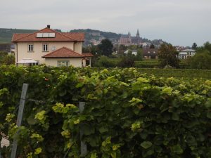 Weingut Kim Rech