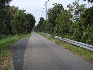 Radweg entlang Schiersteiner Hafen