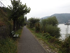 Promenade Rheindiebach