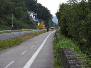 Rheinradweg an der B9