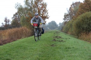 Auf dem Deich mit Wühlspuren von Wildschweinen