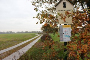 Passabler Radwanderweg im Naaturpark Westhavelland